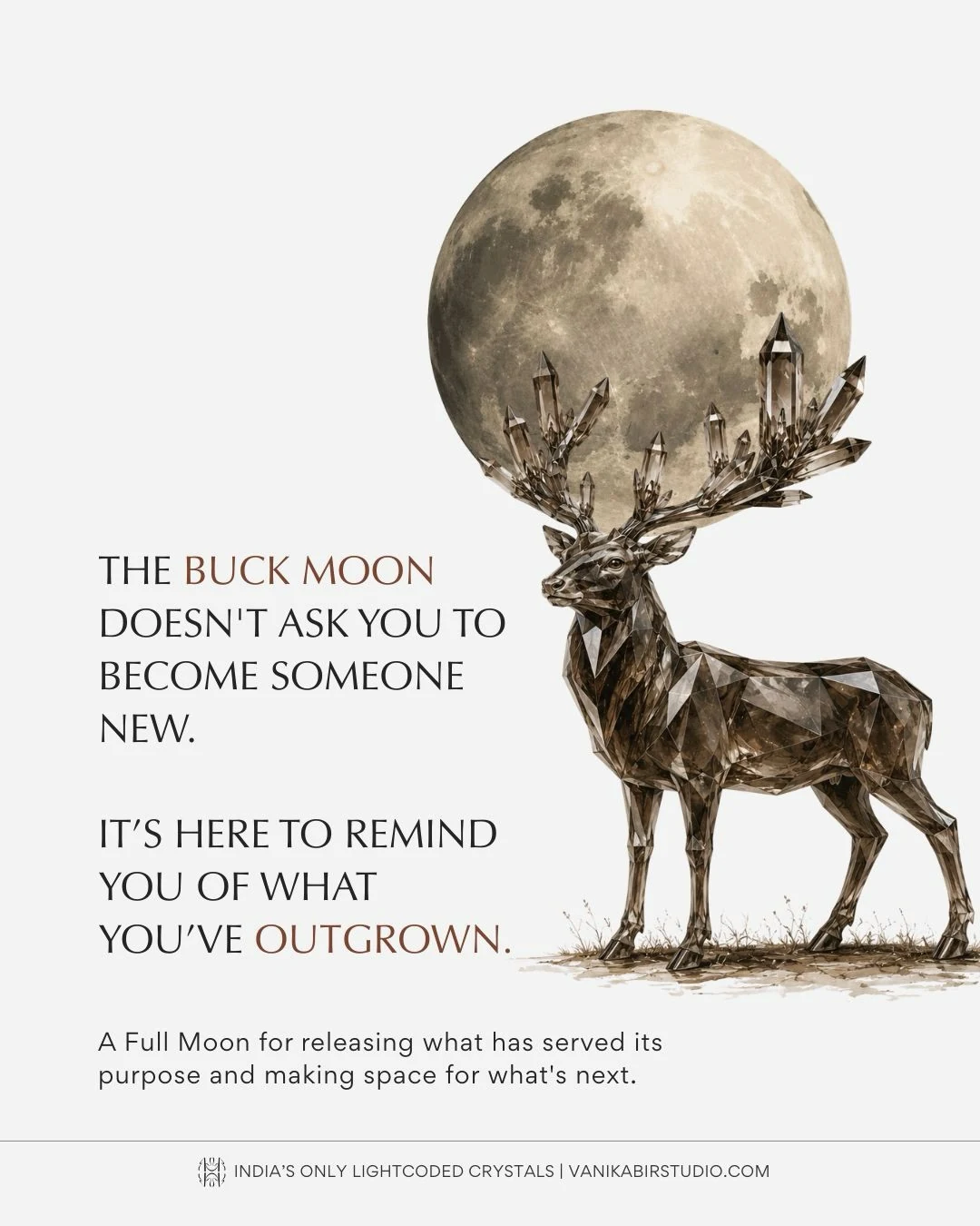 02. The Buck Moon Doesn’t Ask You to Become Someone New